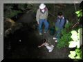 SalmonFry 014.jpg